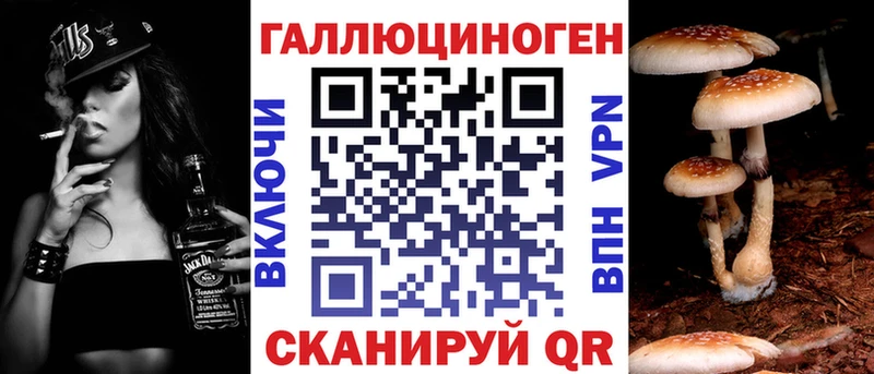 как найти закладки  Макаров  Галлюциногенные грибы Cubensis 